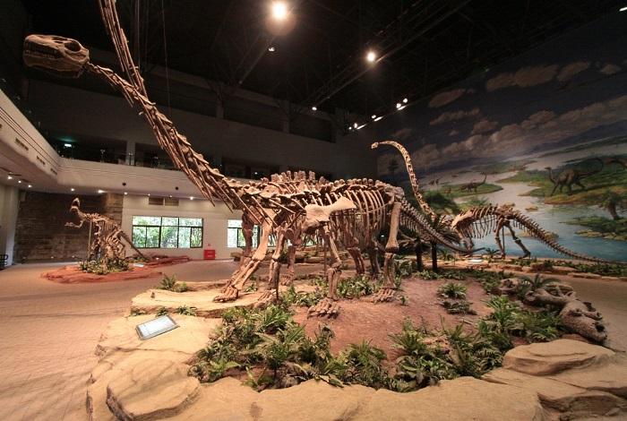 Вятский палеонтологический музей 