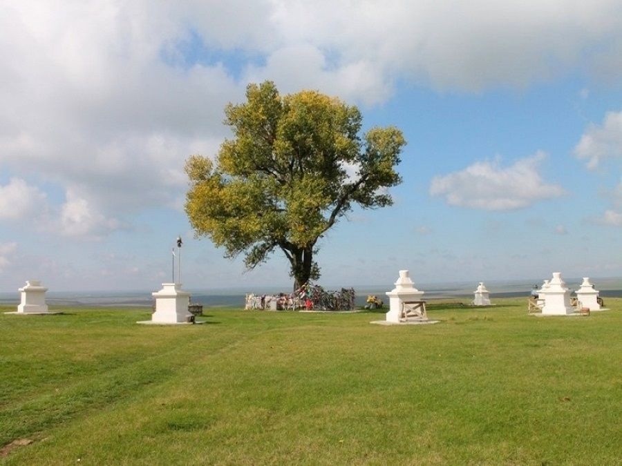 Памятник природы «Одинокий тополь» в Хар-Булуке